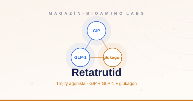 Ilustrace: retatrutid, trojitý agonista GIP, GLP-1 a glukagonu